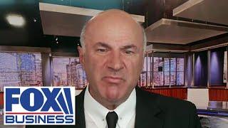 \'Shark Tank\' star Kevin O\'Leary: This is sheer insanity