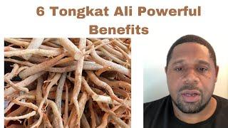 Important Tongkat Ali Information?! | 6 Tongkat Ali (Longjack) Benefits