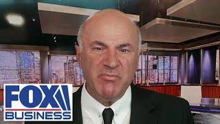 'Shark Tank' star Kevin O'Leary: This is sheer insanity [fd7d3c401]